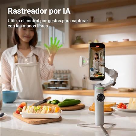 Insta360 Flow 2 AI Tracker Bundle - Stone Gray